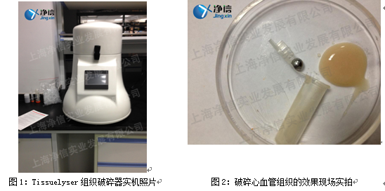 第二軍醫大實驗案例