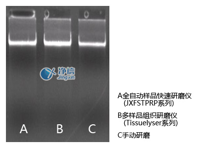 玉米研磨3